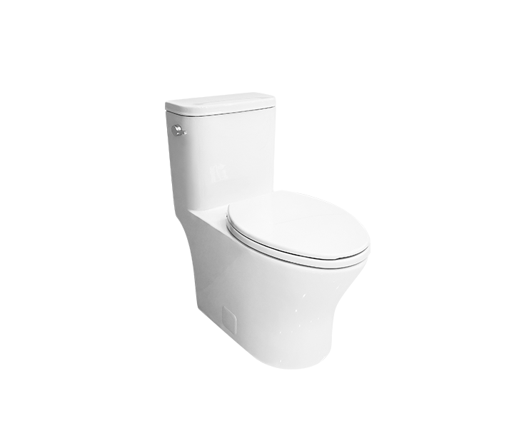 Standard Toilet